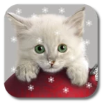 Logo of Xmas Cat android Application 