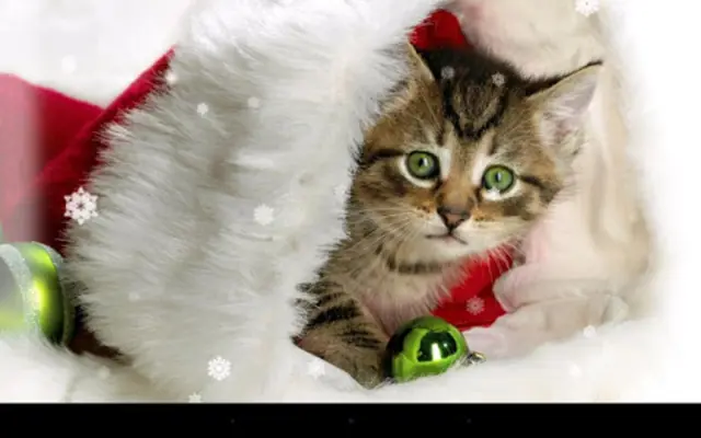 Xmas Cat android App screenshot 2