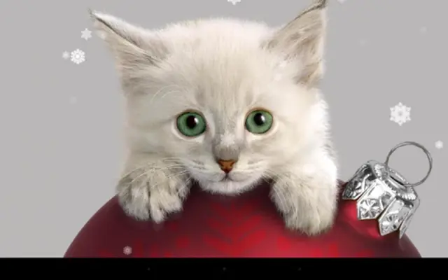 Xmas Cat android App screenshot 3